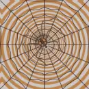Background - Spider Web