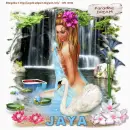 jaya