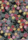 Cherry Blossom