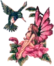 Hummingbird