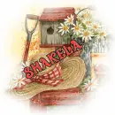 Summer ~ Shakela