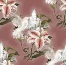 Spring Dove & Lily - background