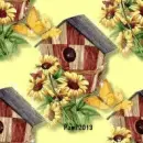 Birdhouse Sunflower - background