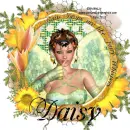 Daisy
