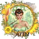 Jaya