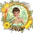 Lupe