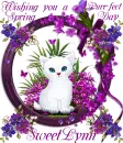 Sweetlynn