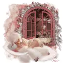  Counting Sheep