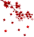 falling leaves