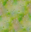rainny