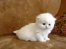 cuty