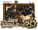 jaya