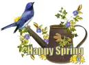 Happy Spring