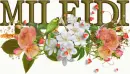 First Names-MILEIDI