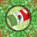 Fiesta-Seamless Back