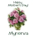 Peonies for Mother's Day - Mynerva