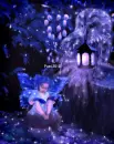 Fairy Owl - background