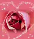 Rose Heart - background