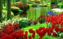 beautiful garden