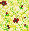 Background - Red Flowers
