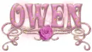 Owen-Pink rose nametag
