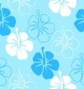 Background/SUMMER