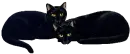 kitty