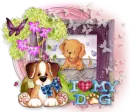 I Love My Dog