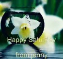 happy saturday from jenny