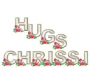 Hugs Chrissi
