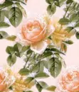 Flowers - Background