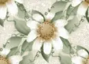 Flowers - Background