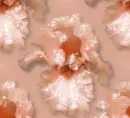 Flowers - Background