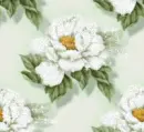 Flowers - Background