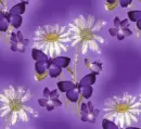 Flowers - Background