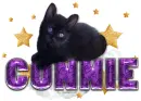 Connie-Cute Cat Purple