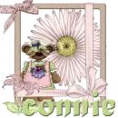connie