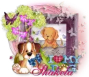 Shakela