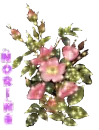 Norine