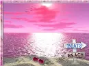 Pink Beach Background Frame