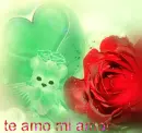 te amo mi amor