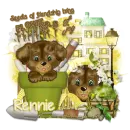 Seeds of Friendship- Rennie