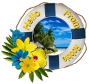 Tropical Life Preserver - Robbie