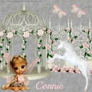 Cute Fairy