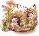 Your Friendship has bloomed in my life.Daisy