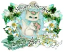 Ari