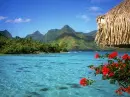 nature flowers river