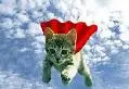 Kitty Powah!