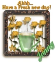 Fresh day - Jenny
