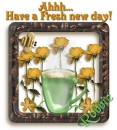 Fresh Day- Robbie